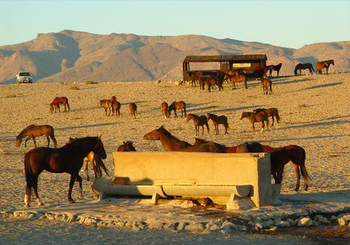 Klein-Aus Vista Desert Horse Inn Екстер'єр фото